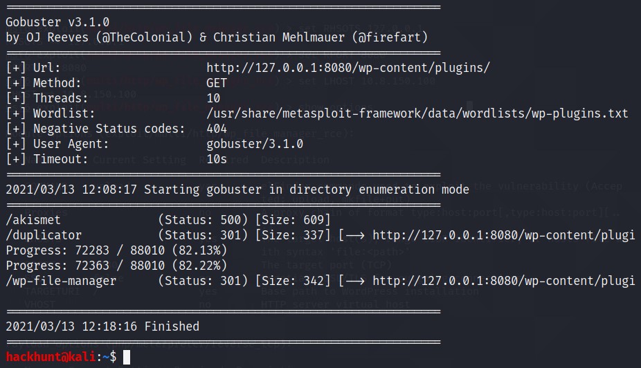 GoBuster Results